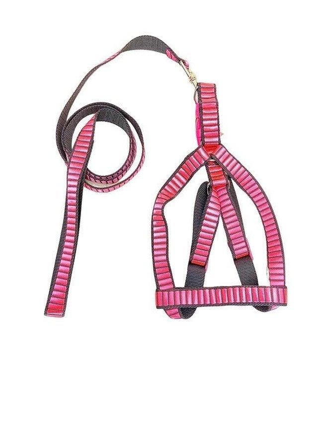 KittuPet Dog Harness Leash Set Adjustable, Leash with Harness Set Printed Nylon Puppy Harness for Small & Medium Dogs (0.5 INCH) (Red) - Image 4